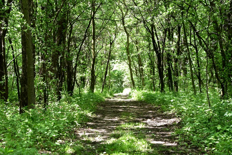 Cabins (United States of America, East Troy, Wisconsin)
