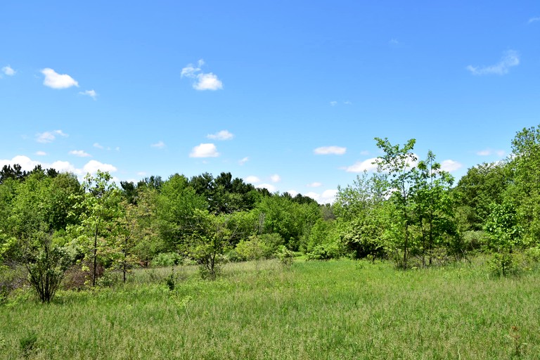 Cabins (United States of America, East Troy, Wisconsin)
