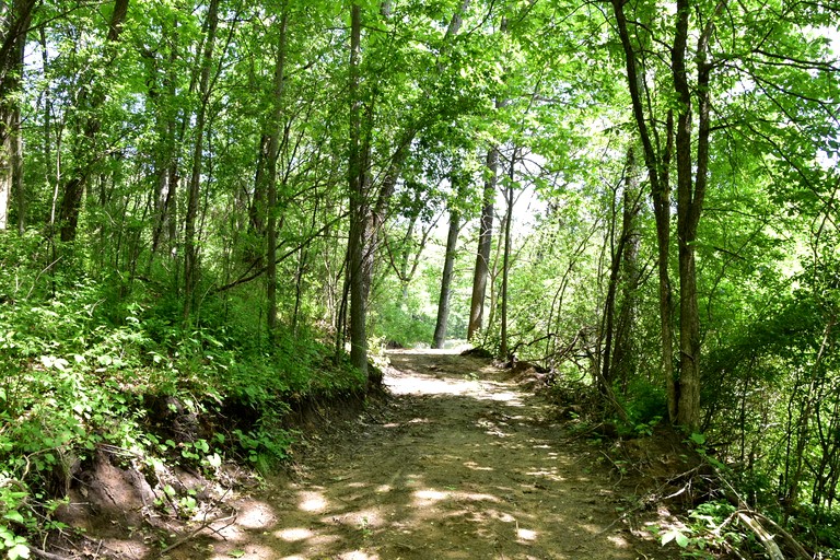 Cabins (United States of America, East Troy, Wisconsin)