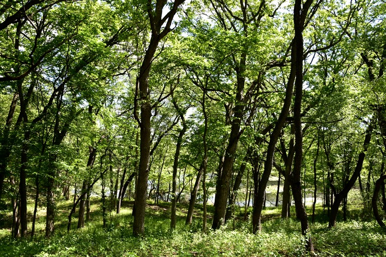Cabins (United States of America, East Troy, Wisconsin)