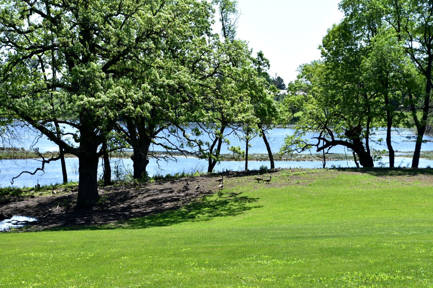 Spacious Restored Girl Scout Lodge with Modern Interior, the Perfect Base for a Family Adventure in Troy, Wisconsin