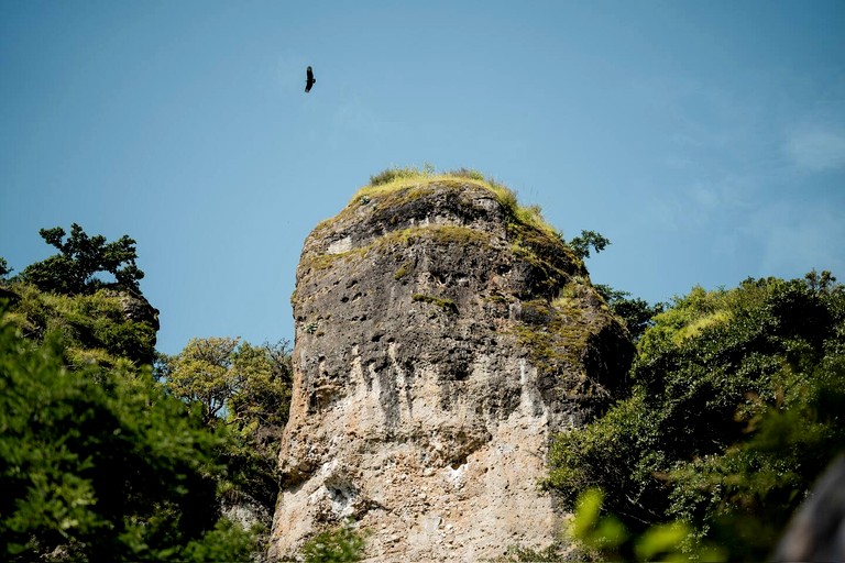 Vacation Rentals (Guatemala, San Marcos la Laguna, Sololá)