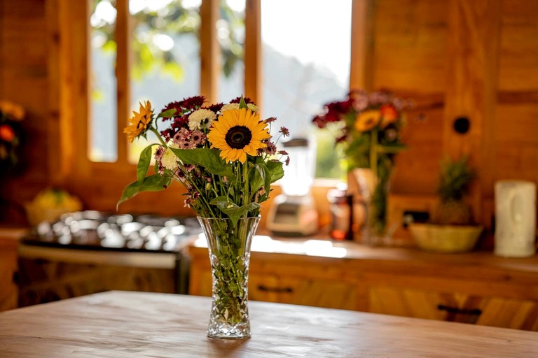 Vacation Rentals (Guatemala, San Marcos la Laguna, Sololá)