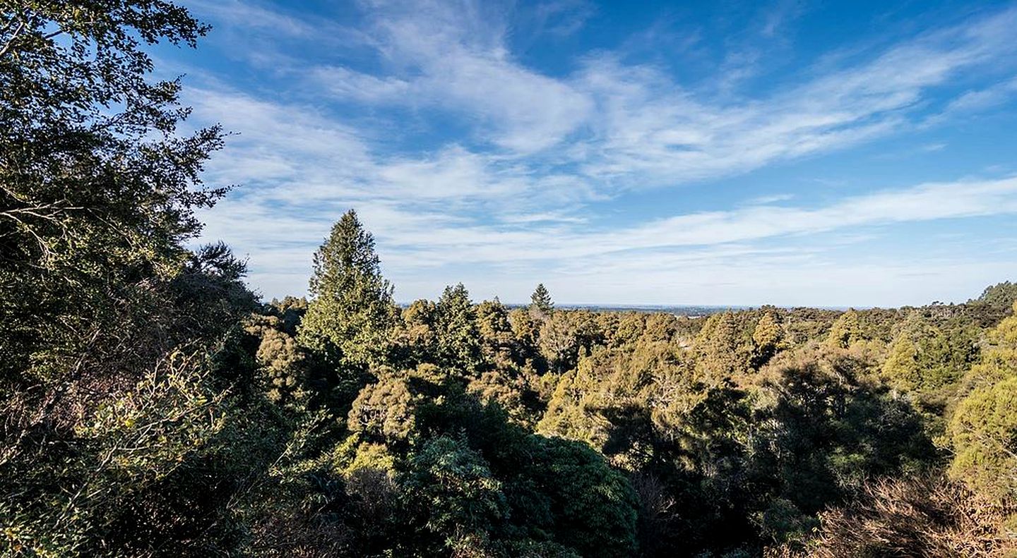 Secluded Cabin Rental Completely Surrounded by Rainforest in Peel Forest, South Island