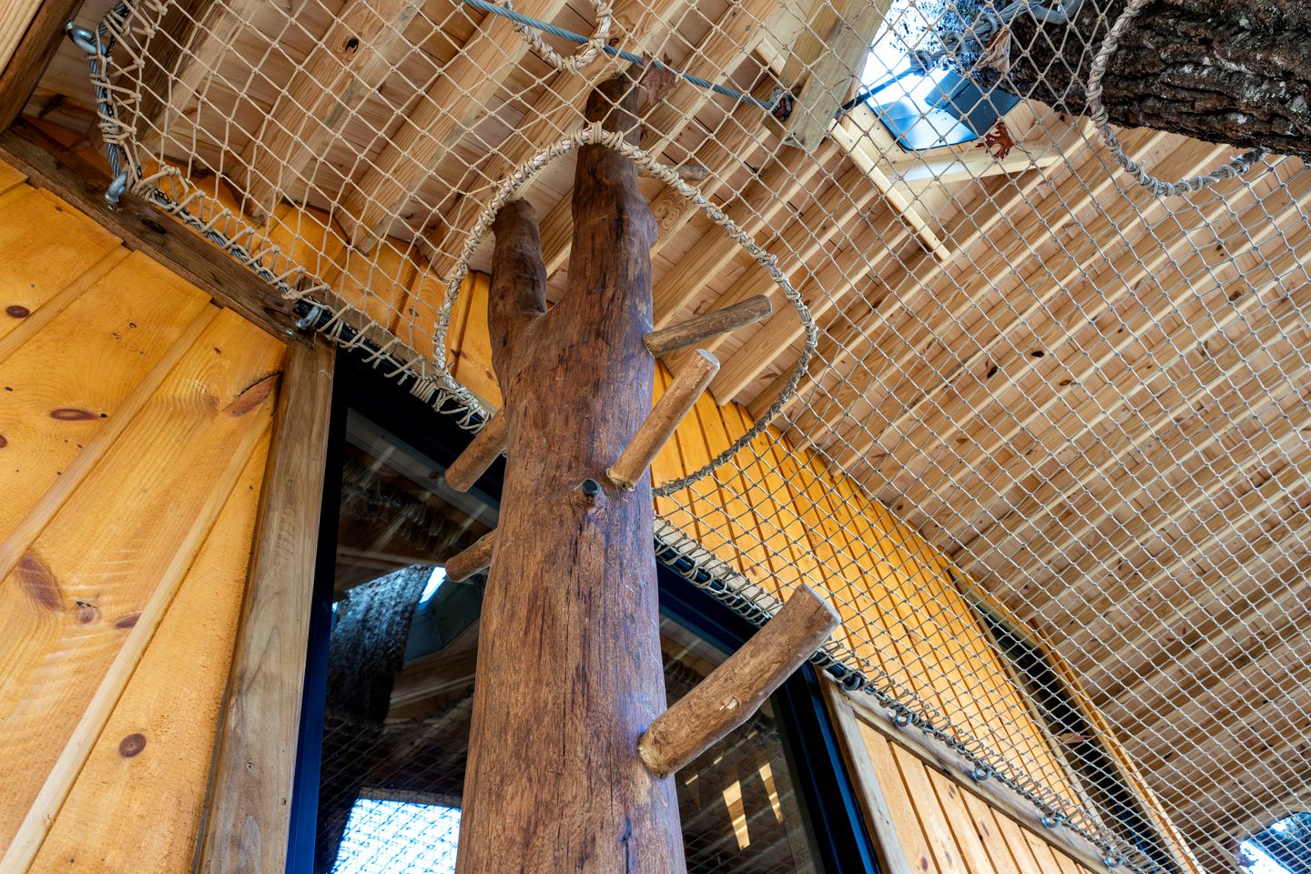 Luxury Nest-Inspired Treehouse with Net Loft & Hot Tub Near Highlands, NC
