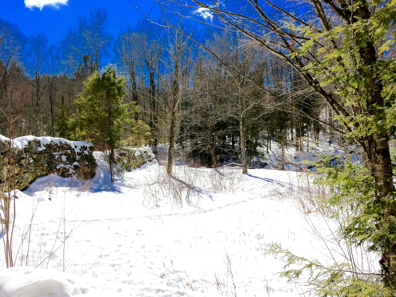 Rustic Vacation Rental for Large Groups in the Green Mountains of Vermont