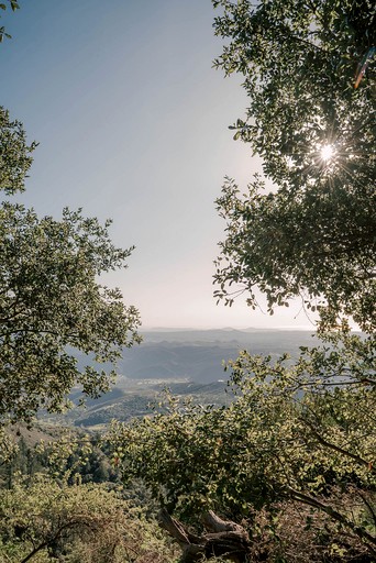 Cabins (United States of America, Pauma Valley, California)