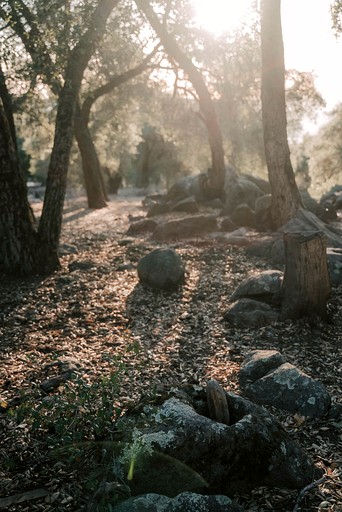 Cabins (United States of America, Pauma Valley, California)