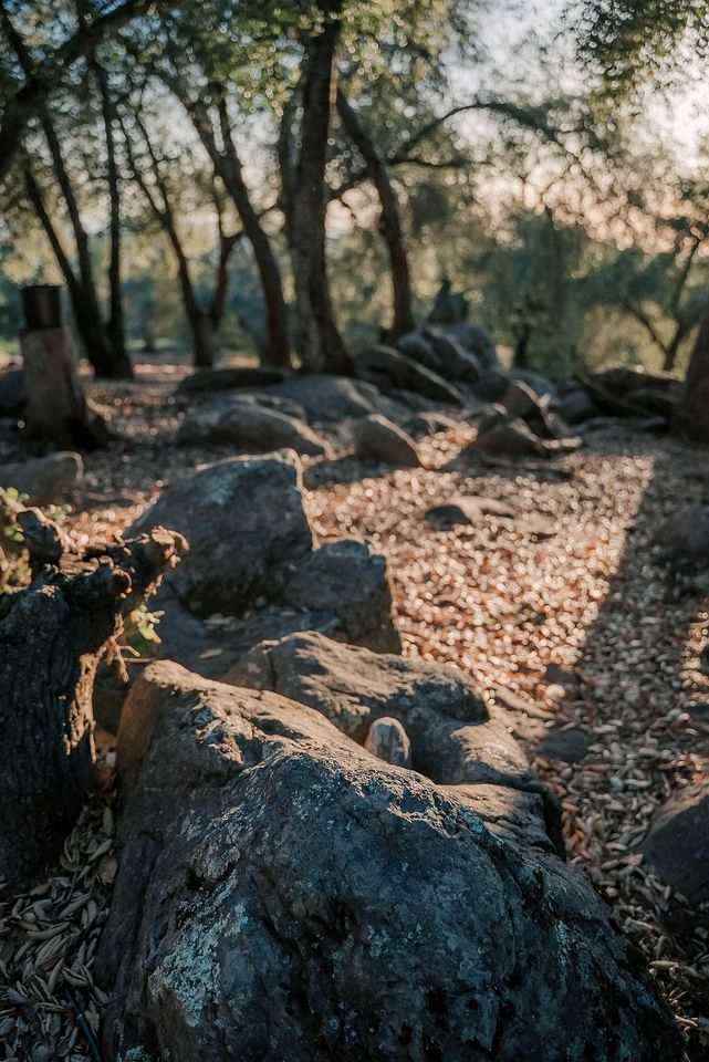 Serene Sanctuary with Scenic Decks & History-Infused Mountain Escape in Pauma Valley, California