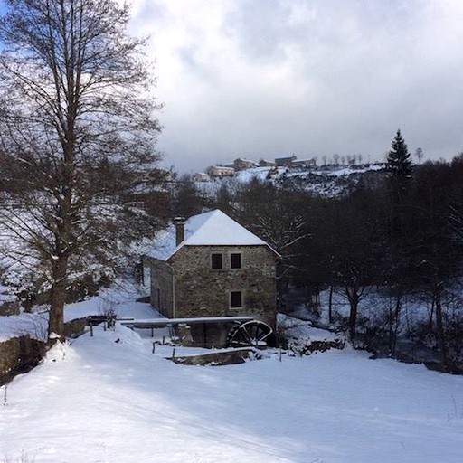 Nature Lodges (Chastel, Auvergne-Rhône-Alpes, France)