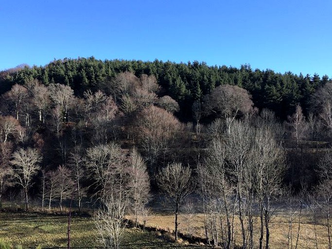 Nature Lodges (Chastel, Auvergne-Rhône-Alpes, France)