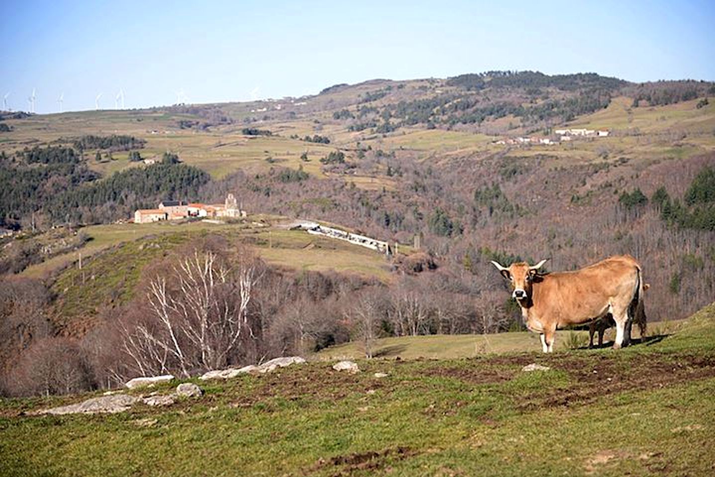 Quaint Holiday Rental for a Glamping Getaway near Cronce, France