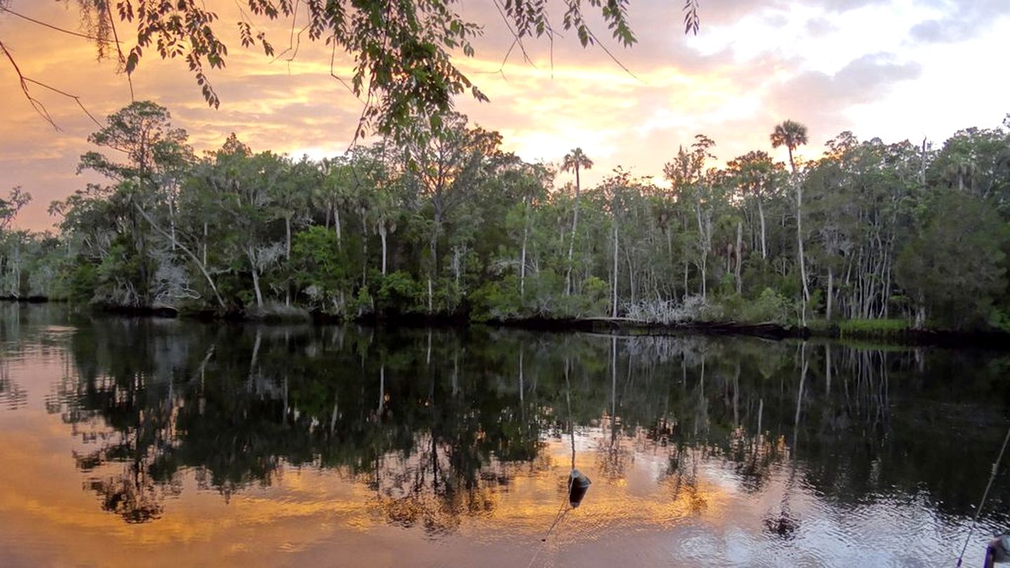 Rustic Cabin Rental Located in St. Marks Wildlife Refuge, Florida