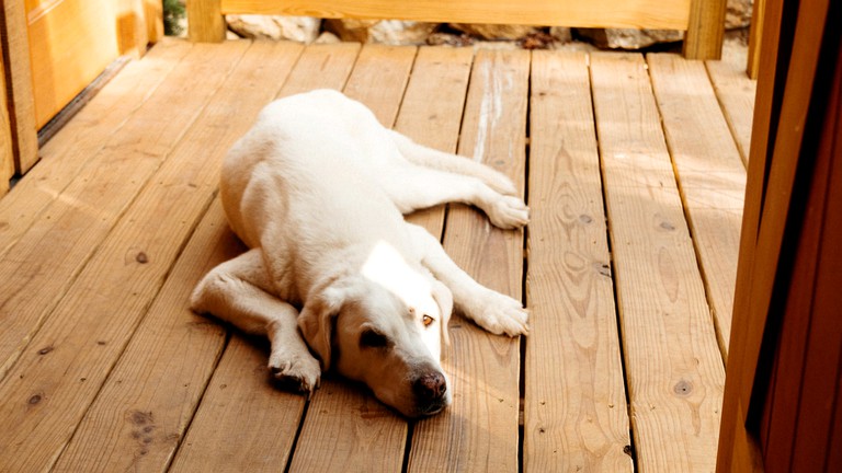 Tree Houses (United States of America, Gatlinburg, Tennessee)