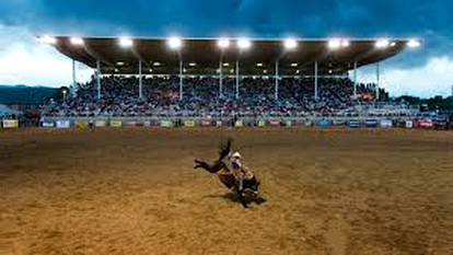 Spectacular Cabin with Incredible Panoramic Views in Sheridan, Wyoming - Photo 3