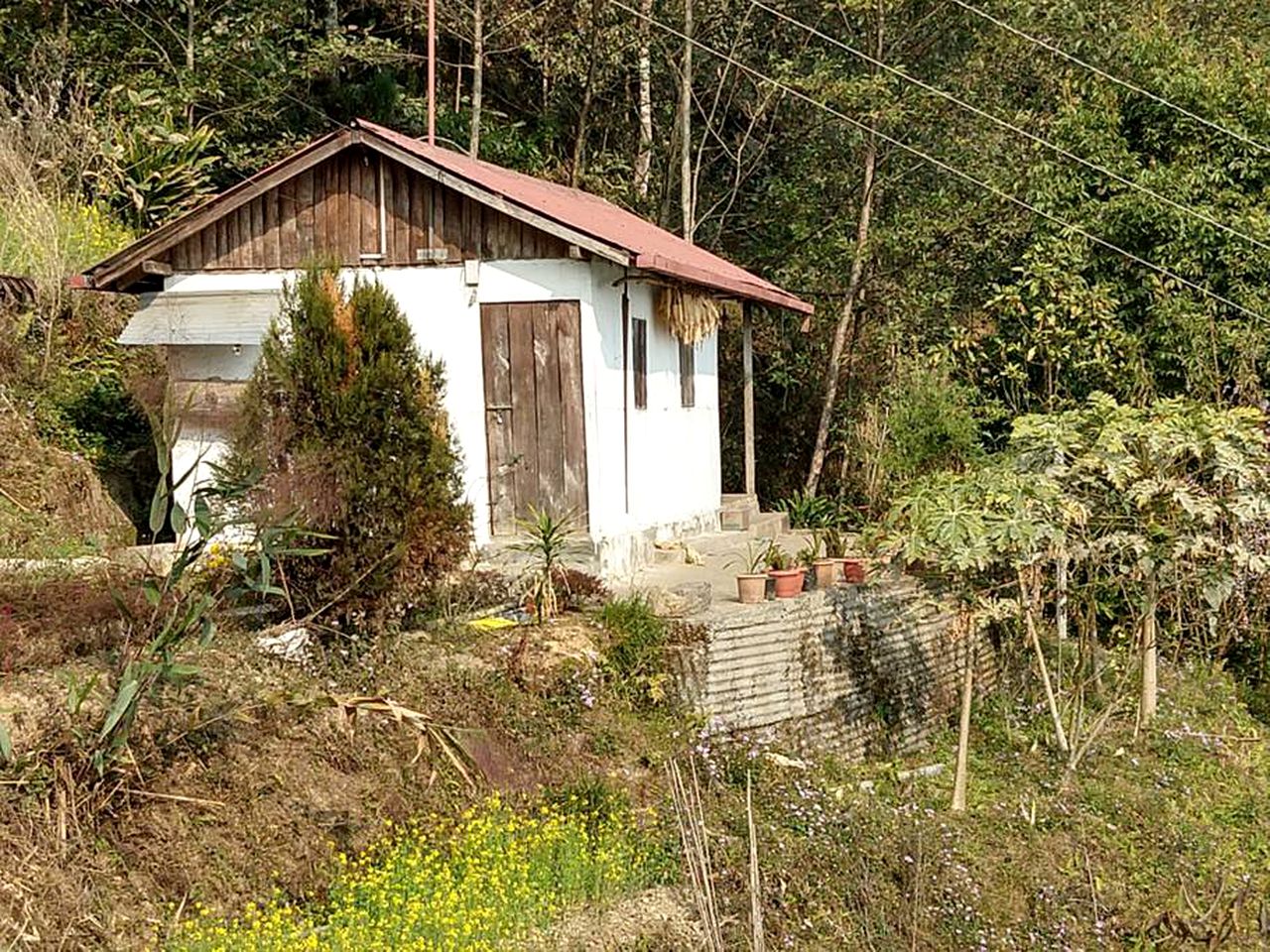 Rural Vacation Rental on a Beautiful Working Farm near Gangtok, Sikkim, India