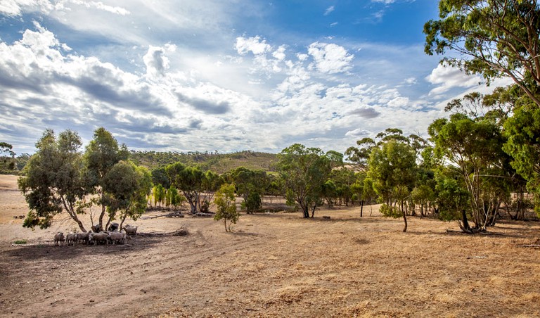 Cottages (Clare, South Australia, Australia)