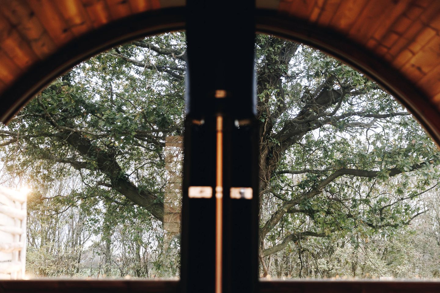 Luxury Countryside Lodge with Private Spa Retreat, Hot Tub & Outdoor Cinema Near Binsted, England