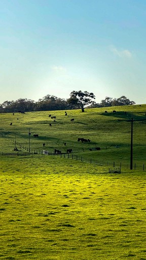 Vacation Rentals (Australia, --, South Australia)