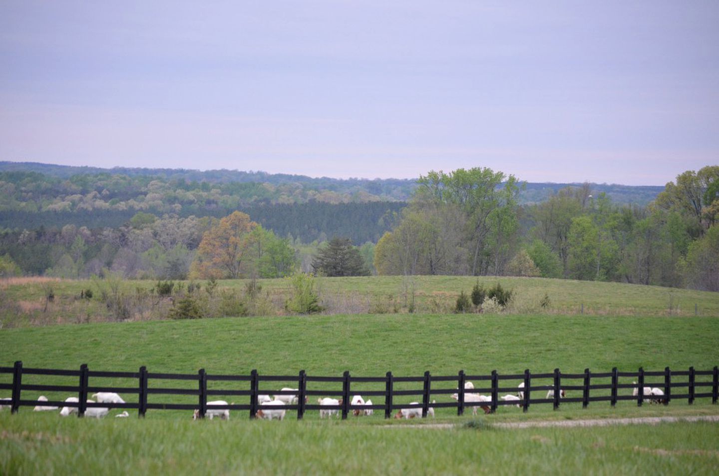 Private Vacation Rental on a Historic 19th Century Farm near Danville, Virginia
