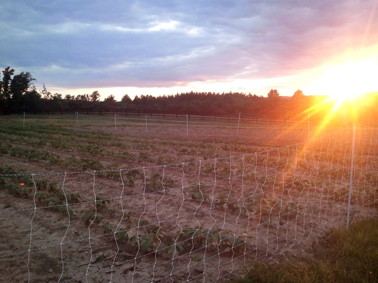 Private Vacation Rental on a Historic 19th Century Farm near Danville, Virginia