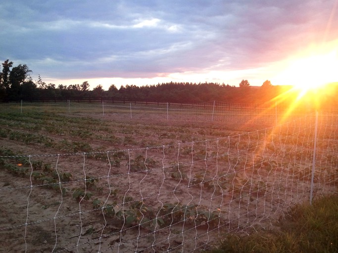 Vacation Rentals (Keeling, Virginia, United States)