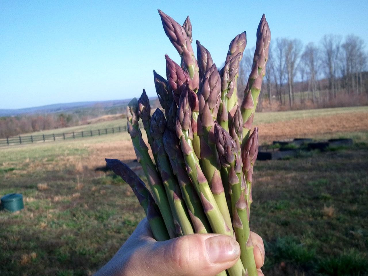 Private Vacation Rental on a Historic 19th Century Farm near Danville, Virginia