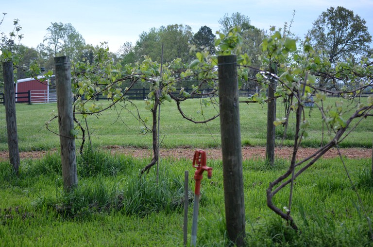 Vacation Rentals (Keeling, Virginia, United States)