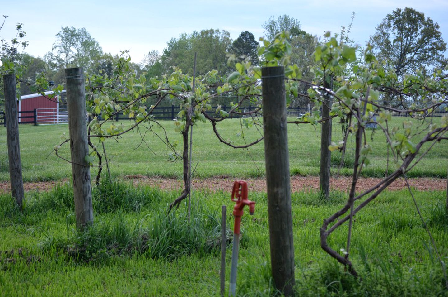 Private Vacation Rental on a Historic 19th Century Farm near Danville, Virginia