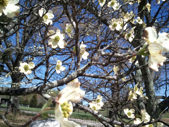 Vacation Rentals (Keeling, Virginia, United States)