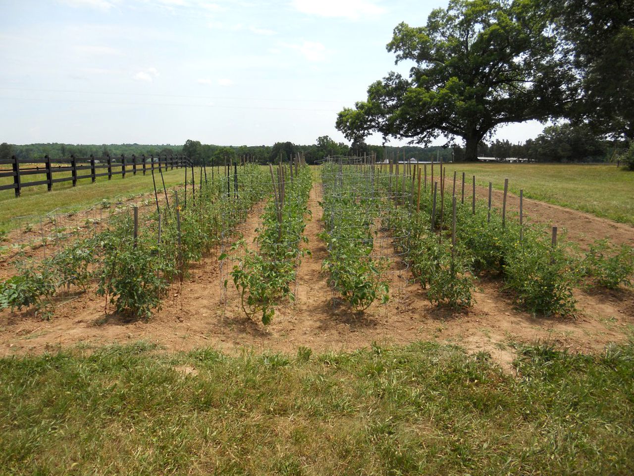 Private Vacation Rental on a Historic 19th Century Farm near Danville, Virginia