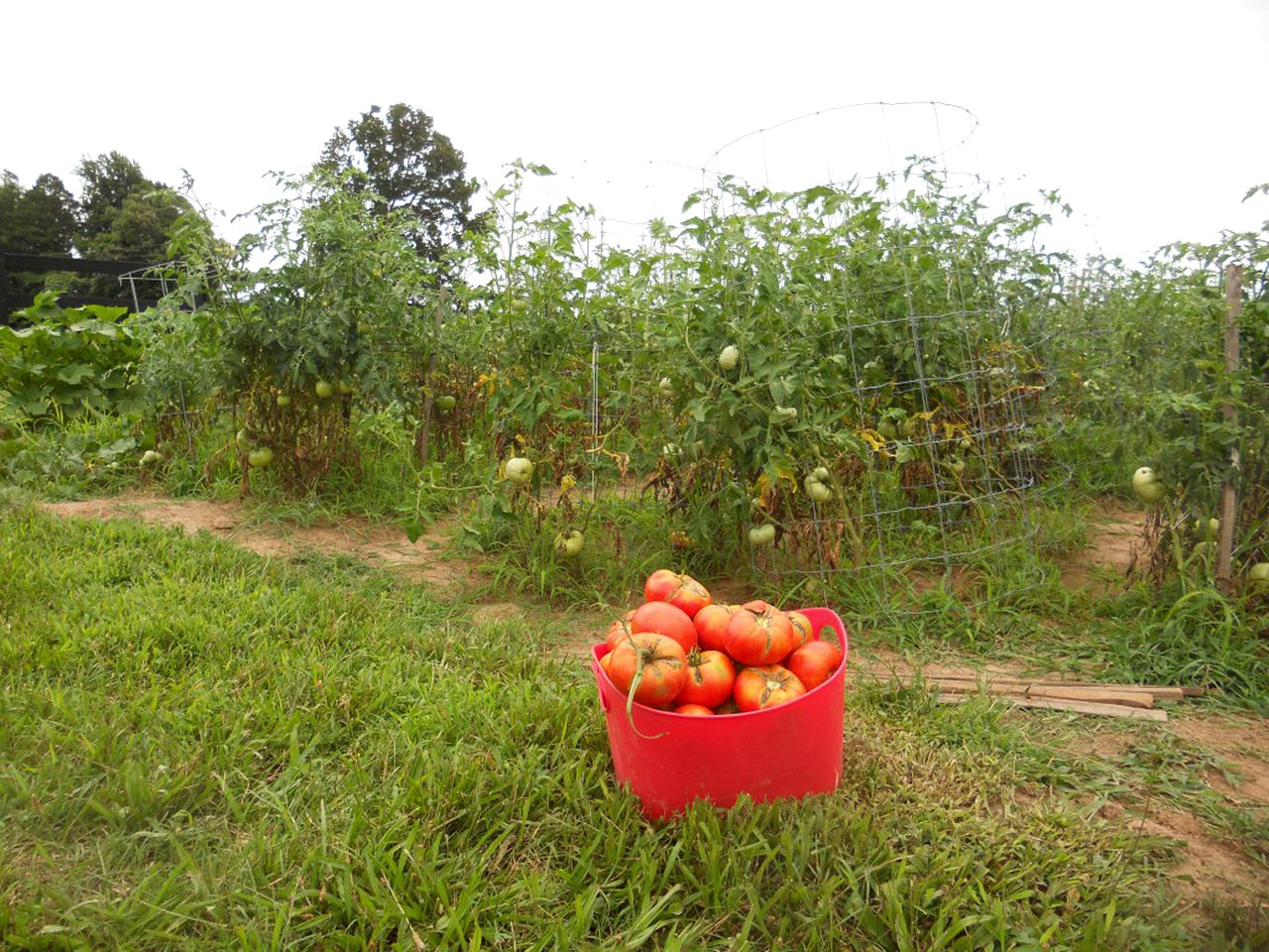Private Vacation Rental on a Historic 19th Century Farm near Danville, Virginia