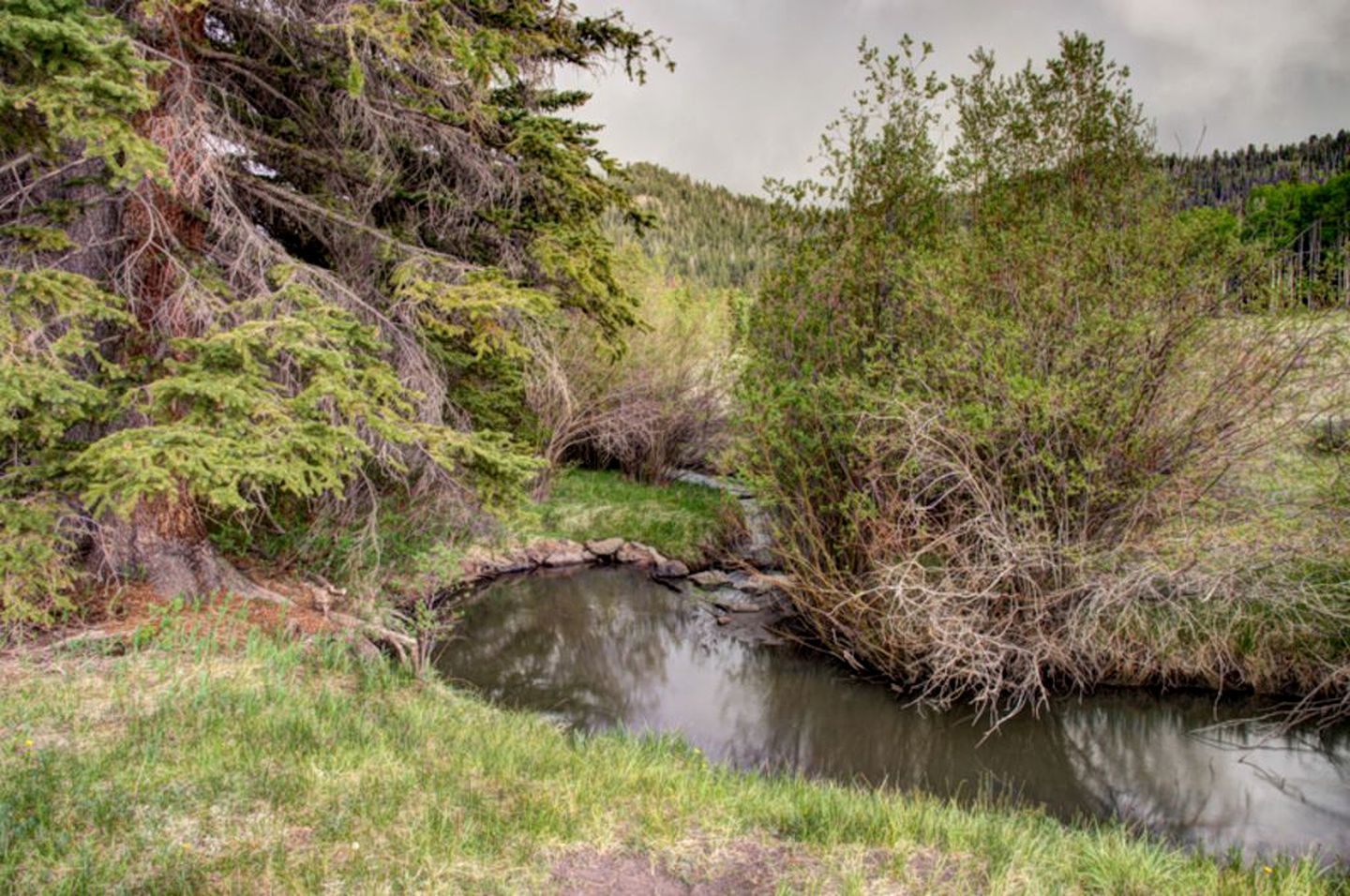 Eight-Bedroom Family Getaway with Mountain View at Brian Head, Utah