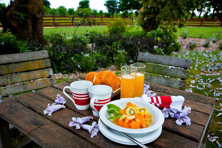 Villas (Hastings, North Island, New Zealand)