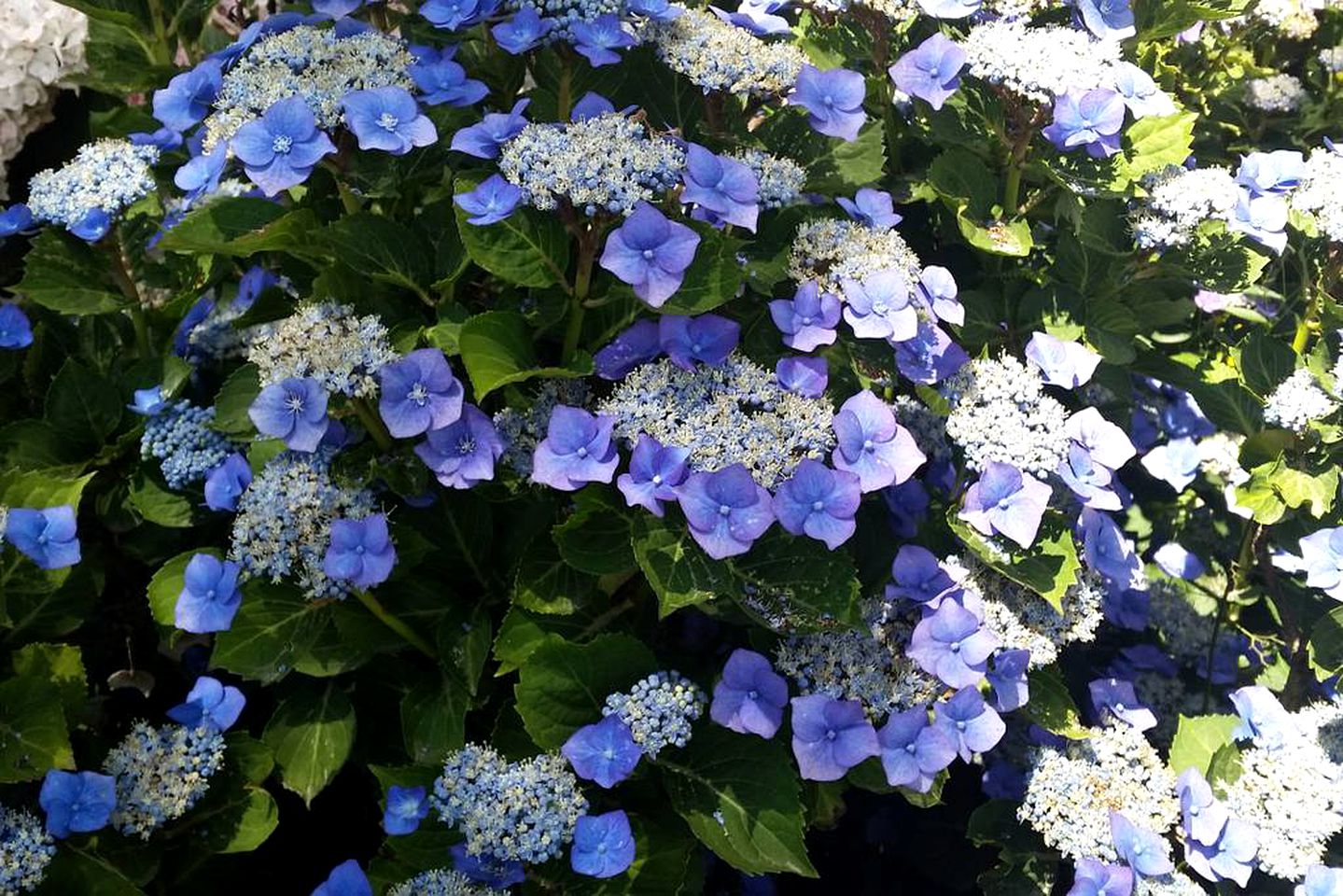 Stunning Villa near Hawke's Bay in Hastings, North Island