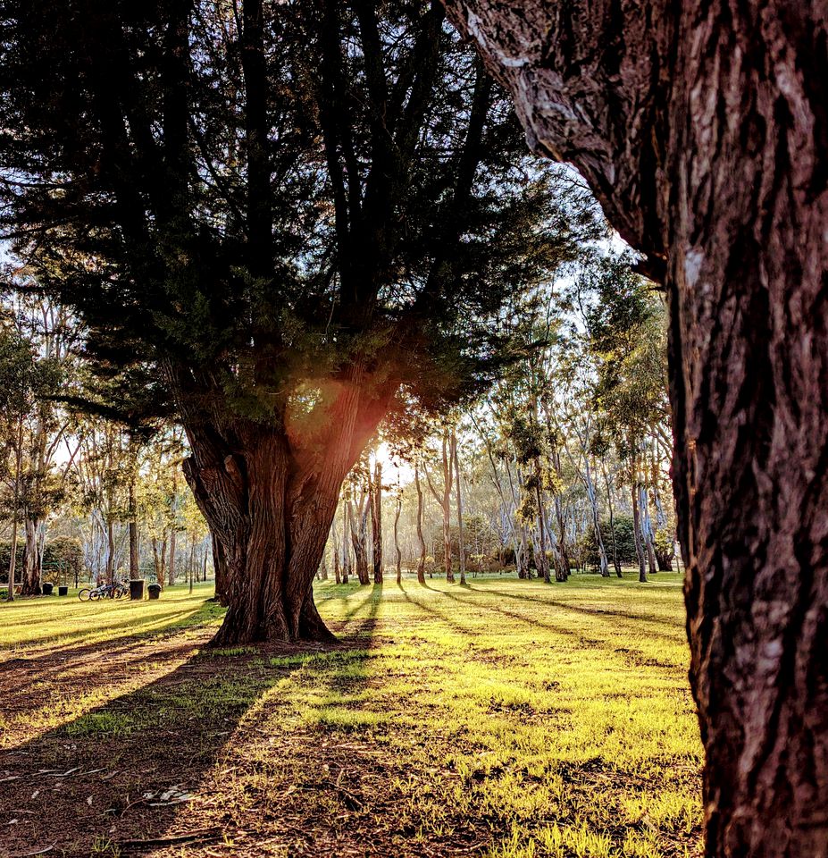 Dadswells Bridge, Victoria Glamping Cabin, Ideal to Discover the Grampians