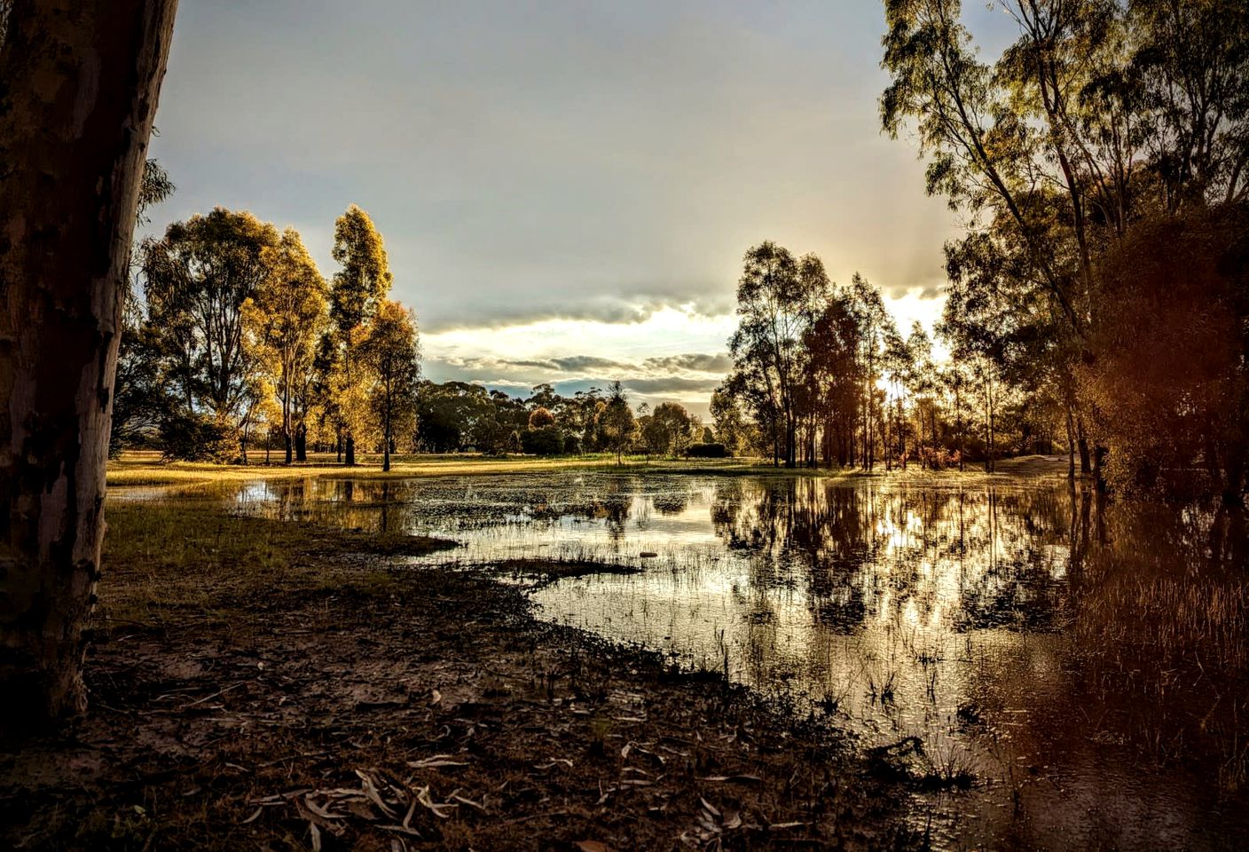 Dadswells Bridge, Victoria Glamping Cabin, Ideal to Discover the Grampians