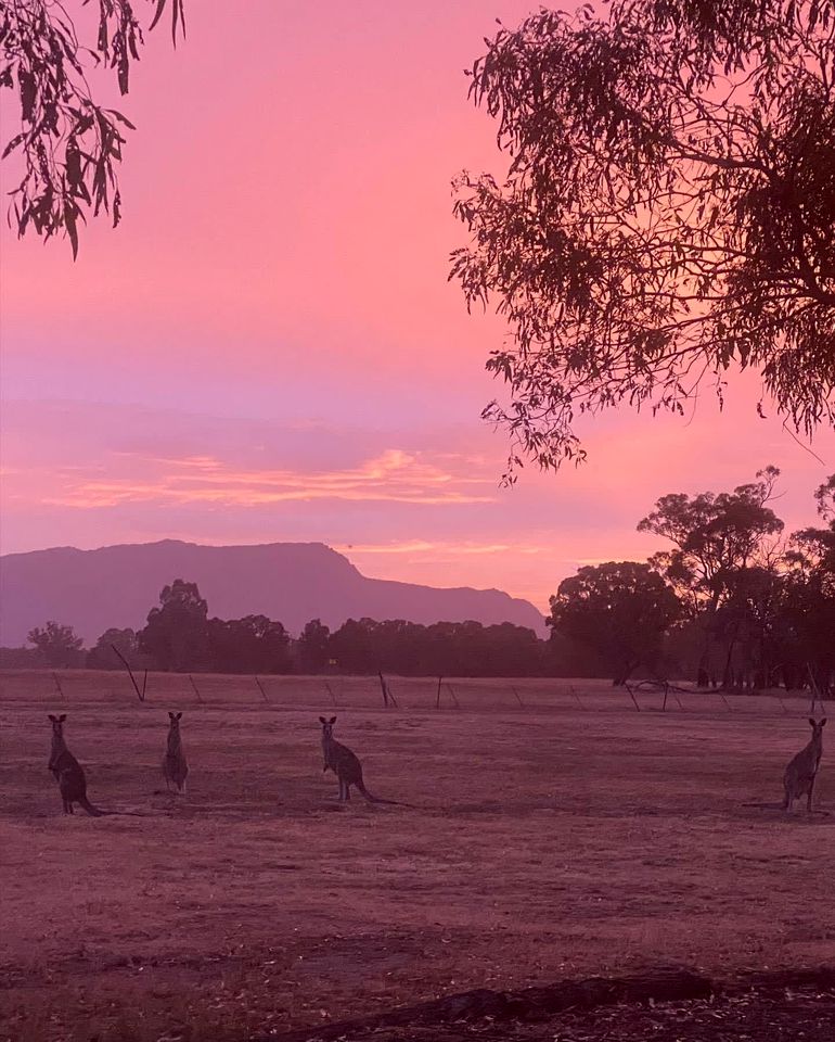 Dadswells Bridge, Victoria Glamping Cabin, Ideal to Discover the Grampians