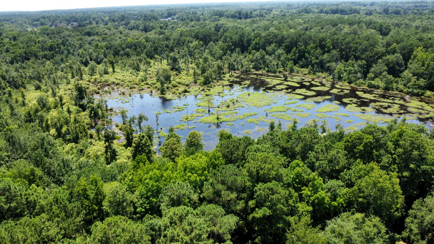 Modern Airstream Glamping with Pond Views in Rural South Carolina