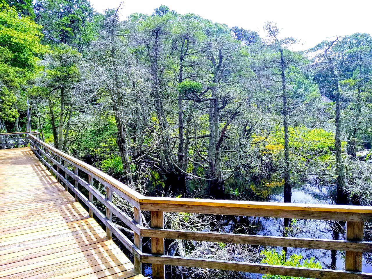 Charming Cottage Retreat with a Wood-Burning Fireplace in Wellfleet, Massachusetts