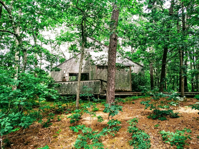 Cottages (Wellfleet, Massachusetts, United States)