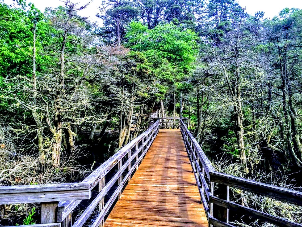 The Perfect Getaway in Wellfleet, Cottages 56913, Wellfleet, United