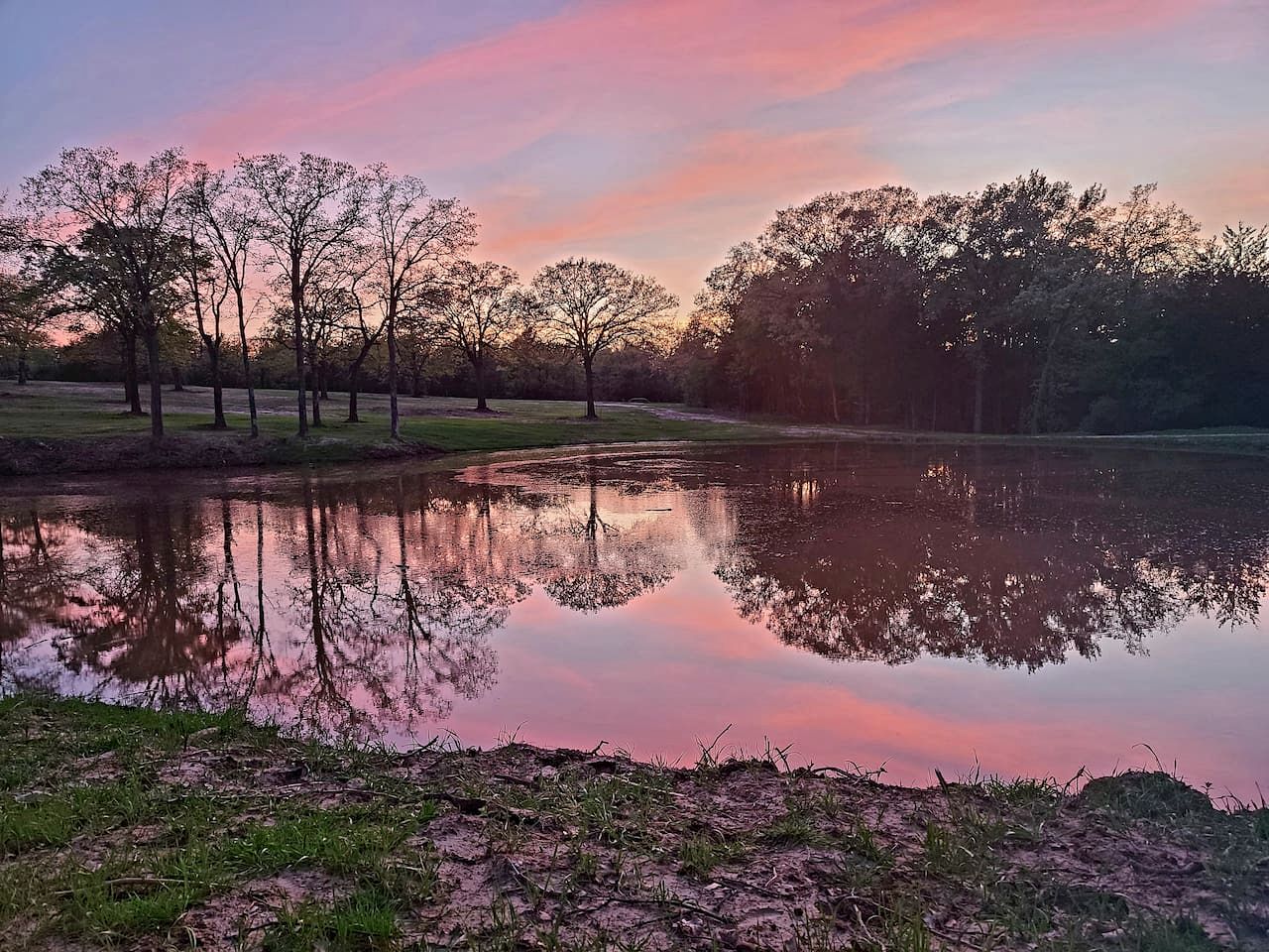 Bright Modern Treehouse with Pickleball Court Near LBJ Grasslands | Alvord, Texas