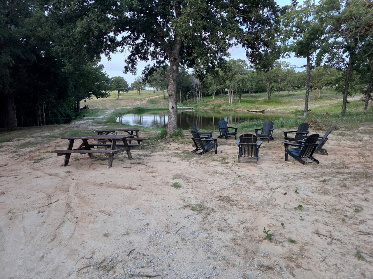 Bright Modern Treehouse with Pickleball Court Near LBJ Grasslands | Alvord, Texas