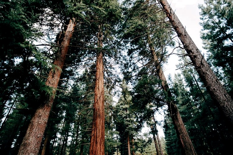 Vacation Rentals (Australia, Korweinguboora, --)