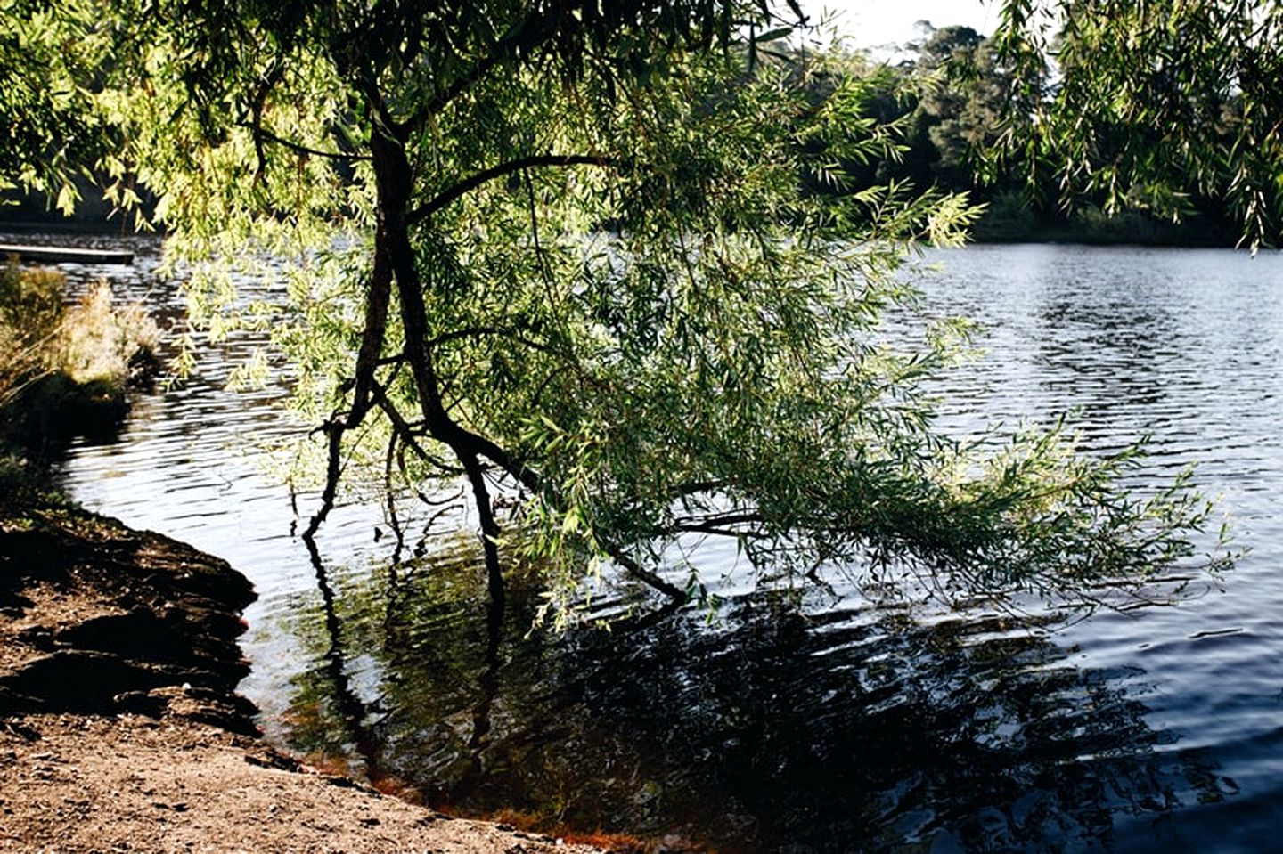 Luxury Tiny Home is Perfect for a Victoria Bush Retreat