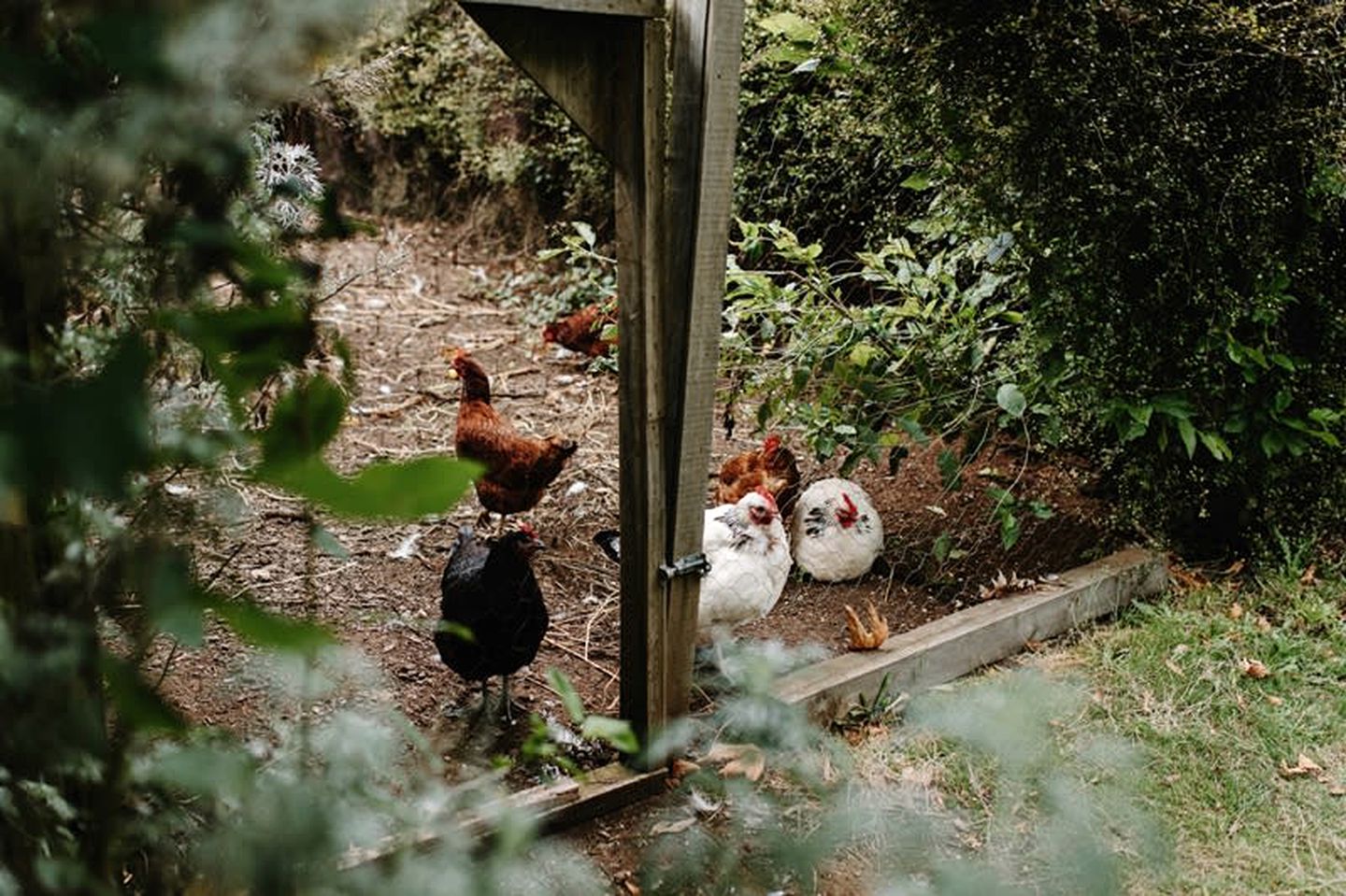 Luxury Tiny Home is Perfect for a Victoria Bush Retreat