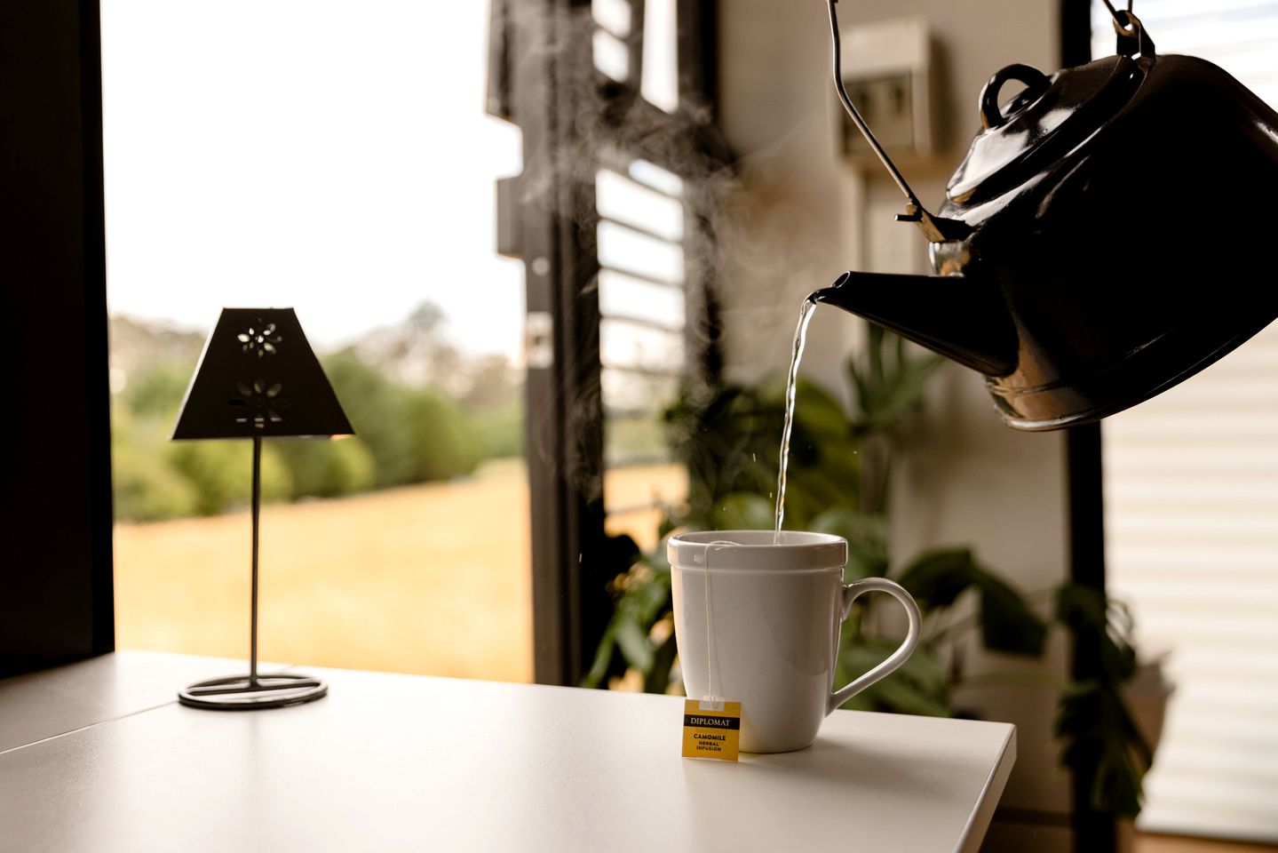 Luxury Tiny Home is Perfect for a Victoria Bush Retreat