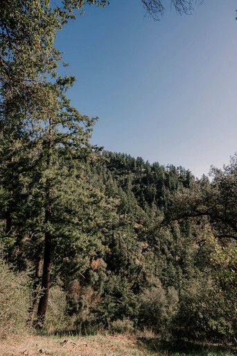 Cabins (United States of America, Pauma Valley, California)