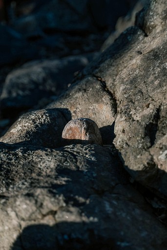 Cabins (United States of America, Pauma Valley, California)